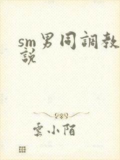 sm男同调教小说
