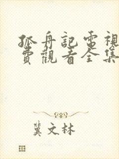 孤舟记电视剧免费观看全集高清在线封面
