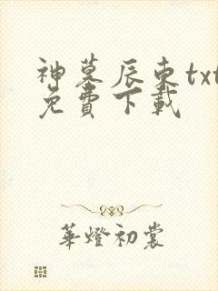 神墓辰东txt免费下载