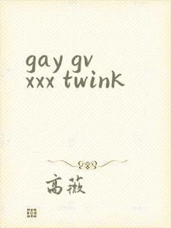 gay gv xxx twink封面