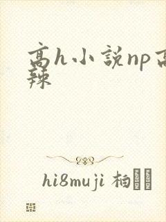 高h小说np高辣封面