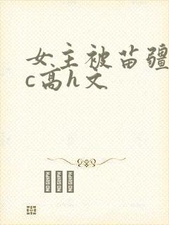 女主被苗疆男主c高h文
