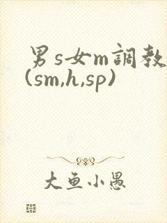 男s女m调教文(sm,h,sp)封面