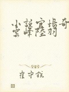 小说官场奇才刘云峰陆羽