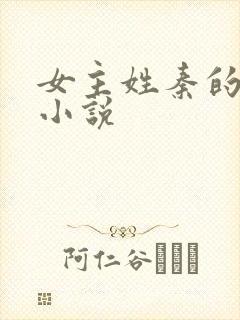女主姓秦的现代小说封面