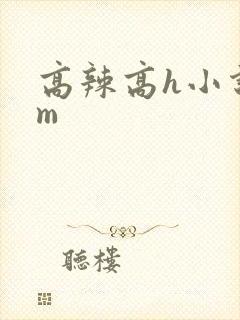 高辣高h小说sm