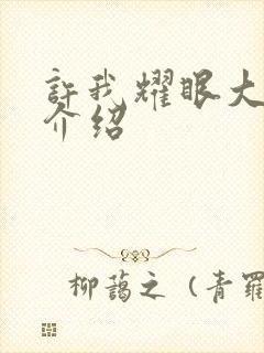 许我耀眼大结局介绍