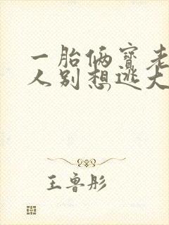 一胎俩宝老婆大人别想逃大结局