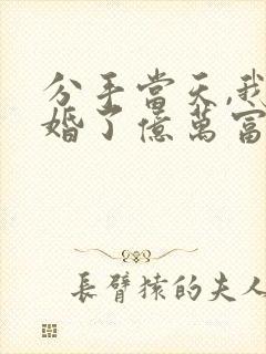分手当天,我闪婚了亿万富豪短剧