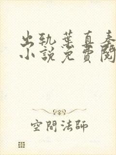 出轨叶真秦允东小说免费阅读