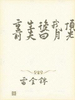 重生后我顶替了前夫白月光全书
