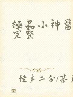 极品小神医小说完整