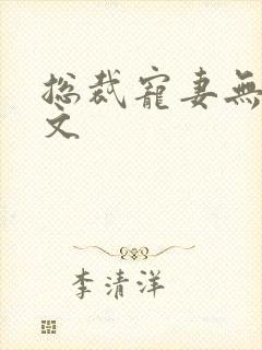 总裁宠妻无度全文