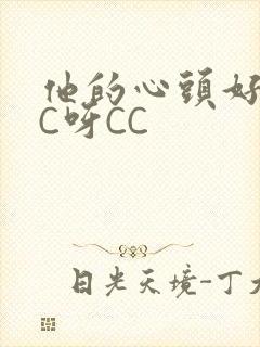 他的心头好 CC呀CC封面