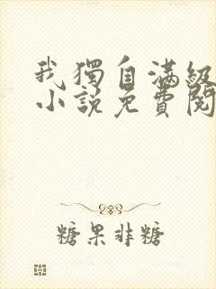 我独自满级新手小说免费阅读