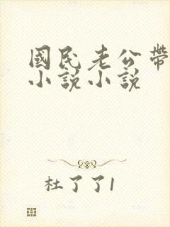 国民老公带回家小说小说