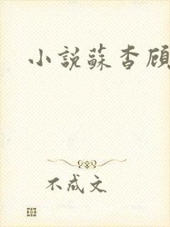 小说苏杳顾君亦封面