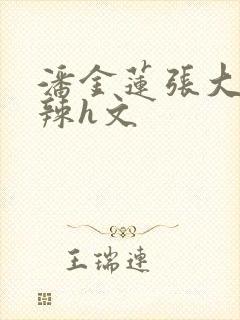 潘金莲张大户高辣h文