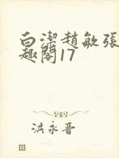 白洁赵敏张倩笔趣阁17封面