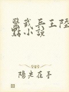 医武兵王陆轩顶点小说封面