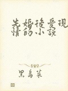 先婚后爱现代言情的小说