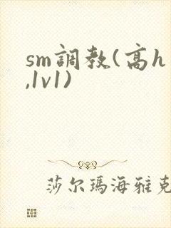 sm调教(高h,1v1)