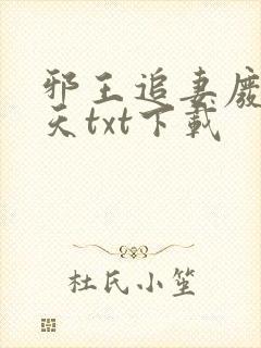 邪王追妻废材逆天txt下载