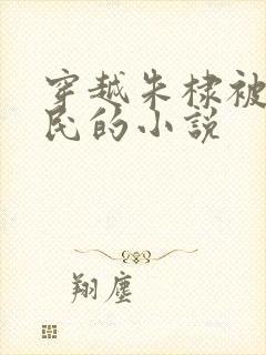 穿越朱棣被贬农民的小说