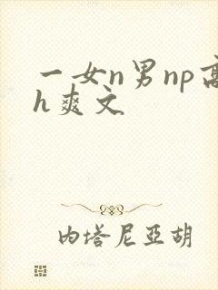 一女n男np高h爽文
