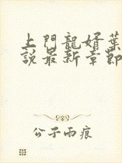 上门龙婿叶辰小说最新章节阅续