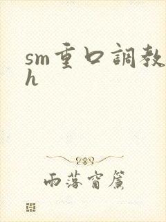 sm重口调教高h