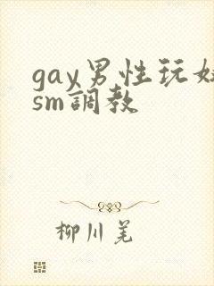 gay男性玩奴sm调教