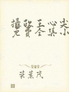 摄政王心尖宠妃免费全集小说