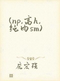 (np,高h,纯肉sm)