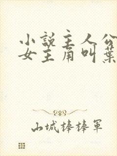 小说主人公林凡女主角叫叶惜