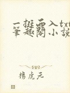 一挺而入txt笔趣阁小说