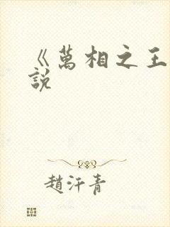 《万相之王》小说封面