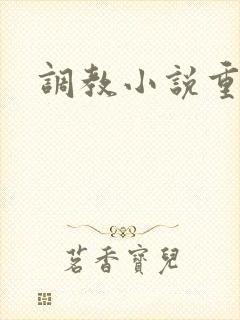 调教小说重口封面