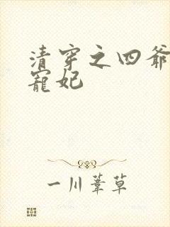 清穿之四爷心尖宠妃封面