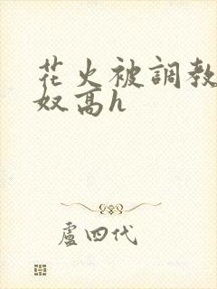 花火被调教成肉奴高h