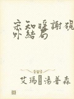 宋知暖谢砚京番外结局