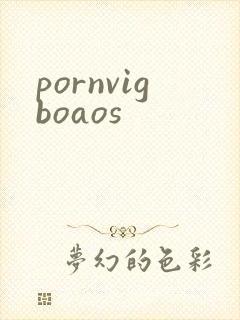 pornvigboaos封面