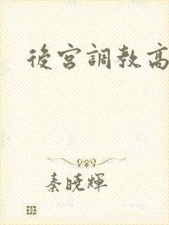后宫调教高h文
