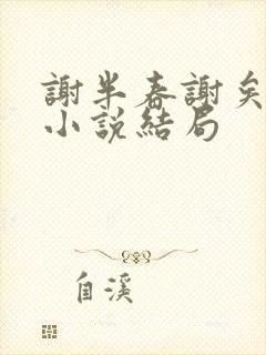 谢半春谢矣尹果小说结局