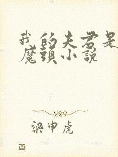 我的夫君是灭世魔头小说