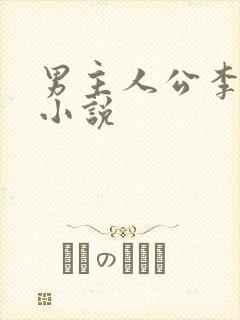男主人公李文的小说