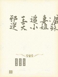 邪王追妻:废材逆天小姐苏落南宫流云