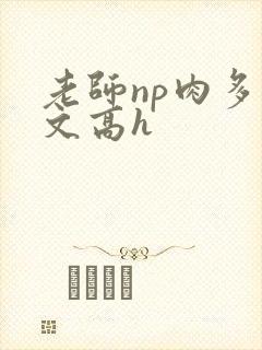 老师np肉多荤文高h
