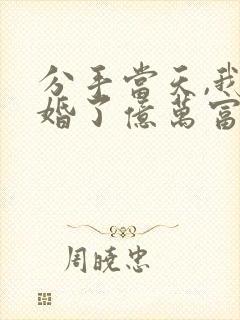 分手当天,我闪婚了亿万富豪全集小说