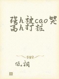 强h被cao哭高h打桩